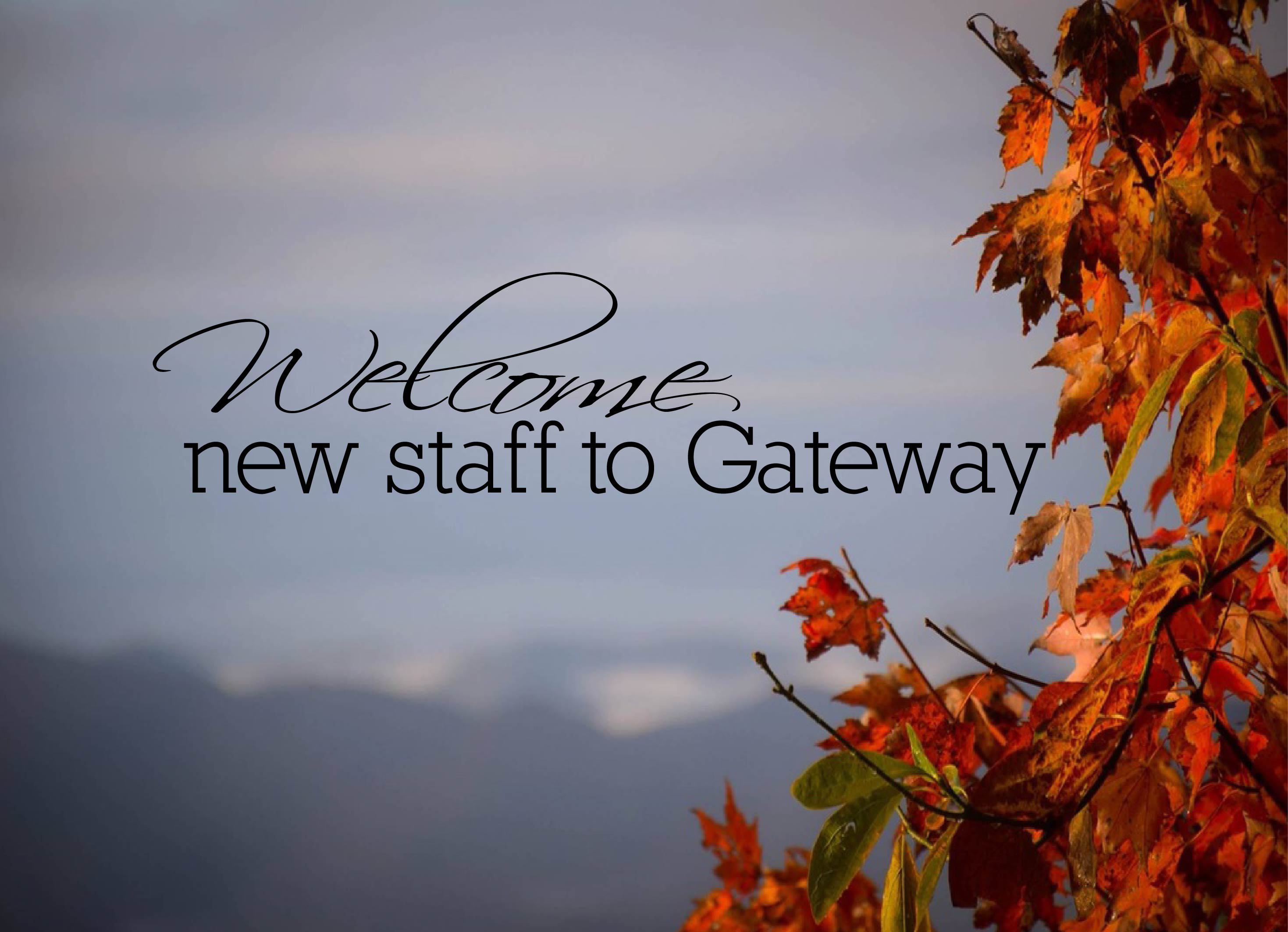 Announcing. . .